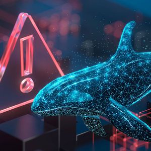 stETH Whale Attacked by Hackers, Substantial stETH Amount Lost