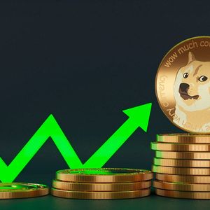Dogecoin Witnesses Historical Holders Growth Amid DOGE Price Turmoil
