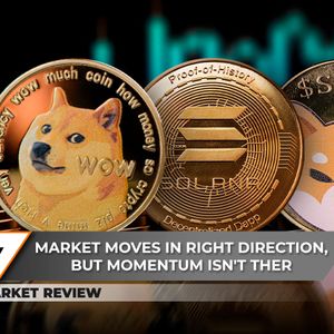 Dogecoin (DOGE) Accumulation Period Might Be Over, Solana (SOL) Is Surprisingly Slow, Shiba Inu's (SHIB) First Test