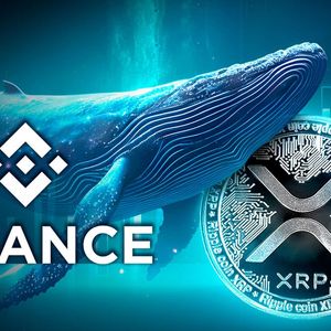 XRP Whale Shifts Millions of XRP Tokens to Binance, Here’s Why