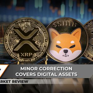 XRP Back To Bottom?  Shiba Inu (SHIB) Rally Stops, But There's Still Hope, Did Bitcoin (BTC) Reach New Top?