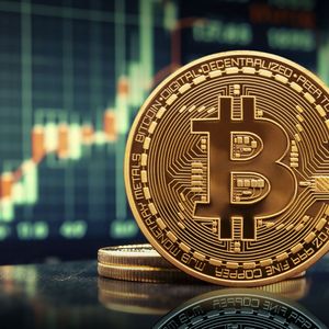 Key Reasons Why Bitcoin Price Is Pumping Today