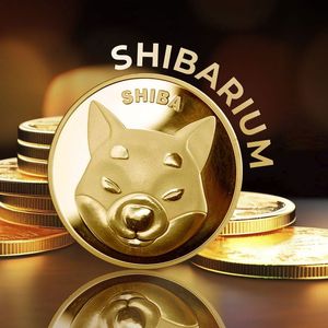 Shibarium and Shiba Inu's Correlative Growth: Data Insight