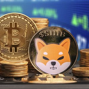 Bitcoin and Shiba Inu Has Crucial Similarity and It Will Surprise You