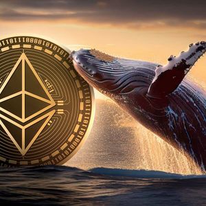 Ethereum Whale Buys $166 Million Worth of ETH in Just Three Days