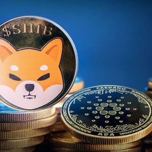 Shiba Inu (SHIB) Takes Over Cardano in Volumes Amid Meme Coin Mania