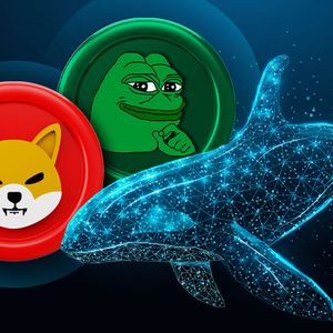 Whale Makes Major Moves With SHIB And PEPE Amid Market Rise