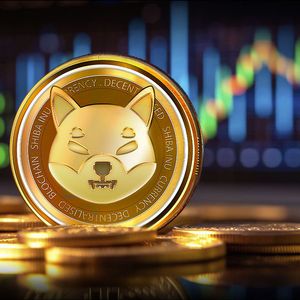 Shiba Inu Skyrockets 700% as Whales Flood Market With More Inflows