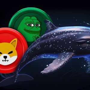 Whale Banks $3.49M from PEPE, Moves Major Stake into SHIB and Other Coins