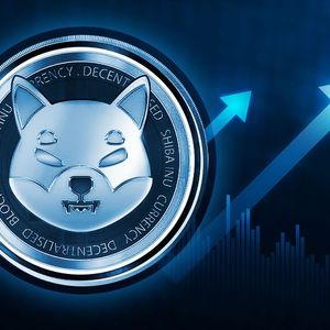 Shiba Inu Skyrockets 422% as Whale Transactions Hit Yearly Highs