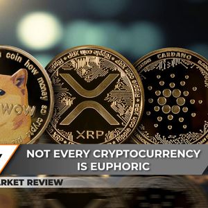 Why Is Dogecoin (DOGE) Rallying So Massively? XRP To Regain $0.6 Threshold, Cardano (ADA) New Yearly High Secured