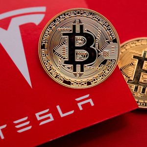 Elon Musk's Tesla and SpaceX's Bitcoin Holdings Uncovered: Data