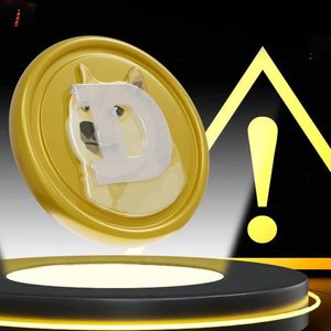 Dogecoin (DOGE) Community Gets Warning, What It Pertains