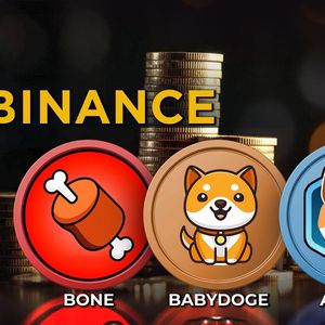 Binance Futures Adds BONE, BABYDOGE and AIDOGE: Details