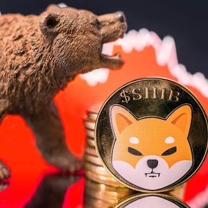 Shiba Inu (SHIB) Bears In Action as Price Slips 19%