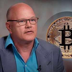 I Don't Think Bitcoin Will Go Back Below $55K-$50K: Mike Novogratz