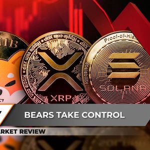 Shiba Inu (SHIB) Drops by 40%, XRP Reaches 2023's Level, Solana (SOL) Shows Surprising Strengths at $170