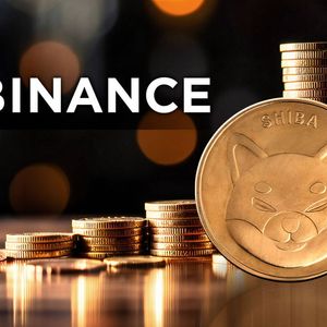 Binance and 900 Billion Shiba Inu (SHIB): What's Happening?