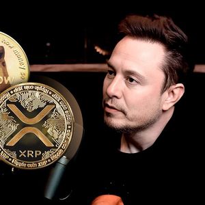 Elon Musk Triggers Reaction From XRP and Dogecoin Community With Intriguing Tweet
