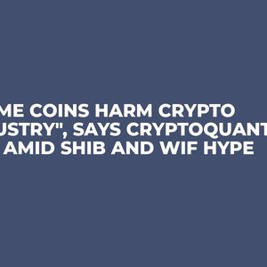 "Meme Coins Harm Crypto Industry", Says CryptoQuant CEO Amid SHIB and WIF Hype