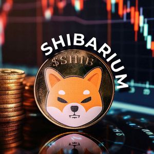 Shibarium Loses 98.4% of Transactions Amid SHIB Price Dump
