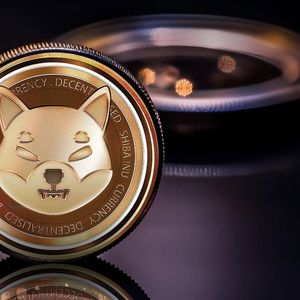 Attention Shiba Inu Holders: Vital Insights Unveiled for SHIB Names