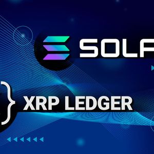 Lead XRPL NFT Creator Explains Why Solana Is Better Than XRP Ledger
