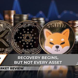 This XRP Volume Pattern Raises Concerns, Cardano (ADA) Secures Breakout, Shiba Inu (SHIB) Shows Cup Reversal Pattern