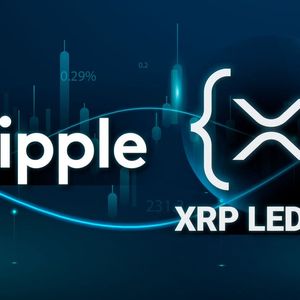 Ripple Releases Exciting Statement on XRP Ledger AMM