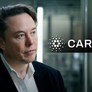 Elon Musk Makes Surprising Cardano (ADA) Move, But There’s Big Catch
