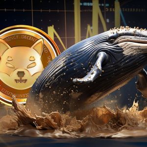 Shiba Inu (SHIB) Skyrockets 436% in Key On-Chain Whale Metric