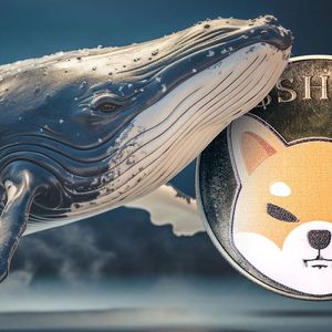 Shiba Inu Whales Trigger SHIB Price Rally with Million Dollar Withdrawals