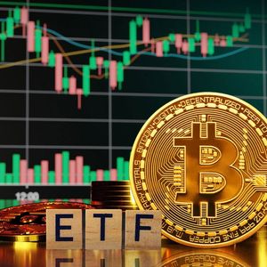 Bitcoin ETFs Skyrocket 283% in Major Metric