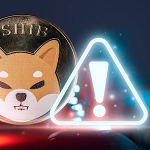 Shiba Inu Team Member Issues Critical Alert to SHIB Community: Details