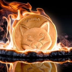 Shiba Inu Skyrockets 60% in Burn Rate - What it Means for SHIB Price?