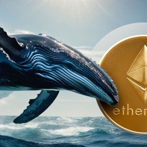 Ethereum Whales Rack Up $40 Million in ETH as Price Rebounds