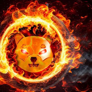 SHIB Burns Soar 48,554% As Shytoshi Kusama Makes Festive Statement
