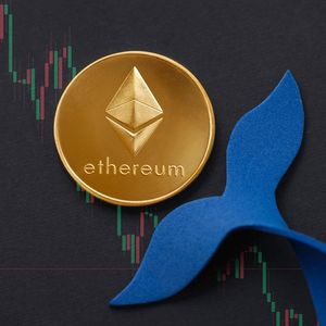 Ethereum (ETH) Price Crash: Whales Dive In as $3000 Support Falters