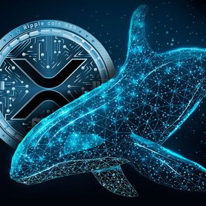 33.33 Million XRP Mysteriously Departs Major Exchange for Enigmatic Whale
