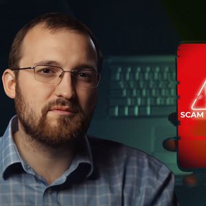 Scam Alert: Cardano Founder Reveals Interaction With Fake 'Anatoly'