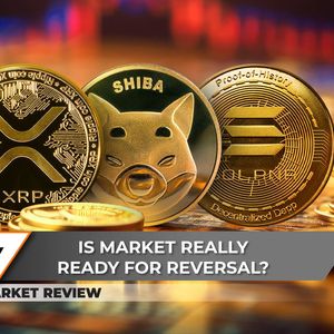 XRP Failed to Breakthrough At $0.57, Shiba Inu (SHIB) Is In Pivotal State at $0.000026, Solana (SOL) Breaks Through: What's Next?