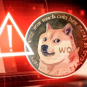 DOGE Army Issued with Crucial Warning by Top Dogecoin Contributor