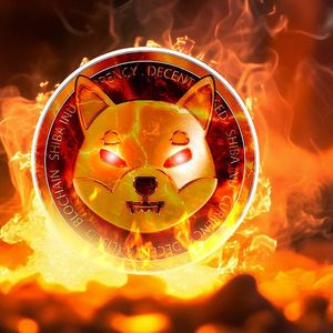 SHIB Burn Rate Skyrockets After Crucial SHIB Upgrade Announcement