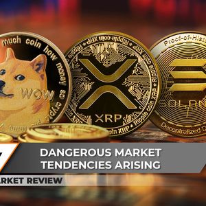Hidden Dogecoin (DOGE) Growth Signal, XRP Loses Its Floor, Solana (SOL) Is Safer Than You Think
