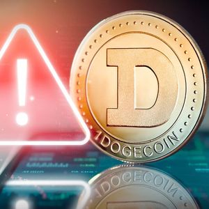 DOGE Holders Have One Month to Do This, Dogecoin Lead Dev Warns