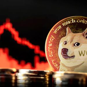 Dogecoin (DOGE) Price Struggles as Major Metrics Turn Bearish