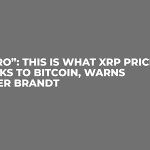 “Zero”: This is What XRP Price Looks to Bitcoin, Warns Peter Brandt