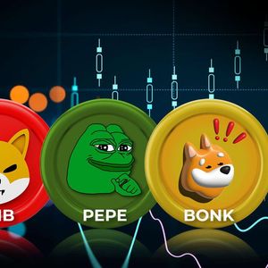 SHIB, PEPE, FLOKI, BONK: Meme Coins Amid Best Performers