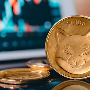 Shiba Inu (SHIB) May Skyrocket 20%, If This Happens