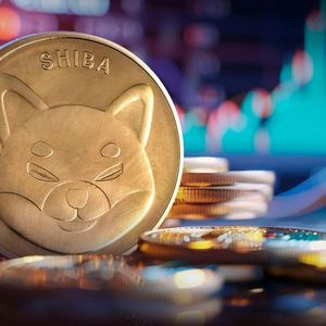 Shiba Inu (SHIB) Witnesses Epic 1,510% Growth of Key Metric, But There's a Catch